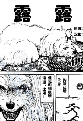 露露\露露之殇 全2卷 伊藤润二 漫画全集下载