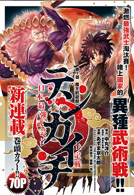 天下第一 日本最强武士选拔赛  1-31卷  中丸洋介，あずま京太郎  漫画百度网盘下载